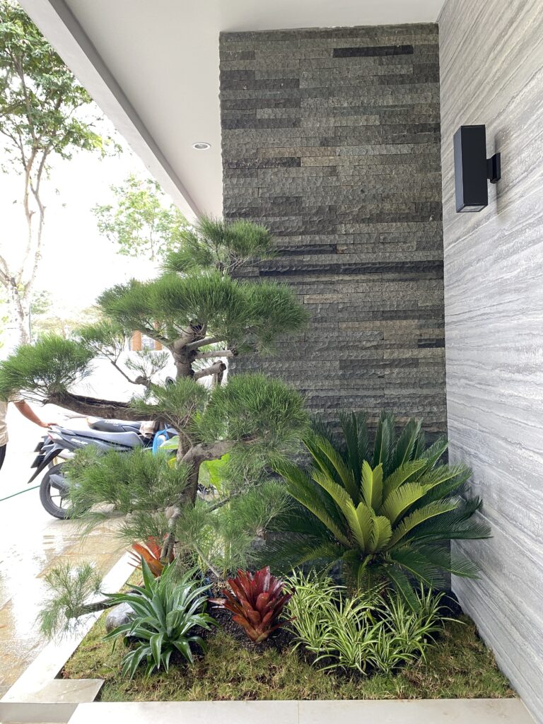 Modern Garden-Residential-Semarang